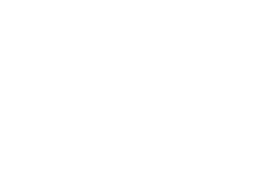 Pulp logo pakje friet
